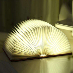 Open A Book Portable Light